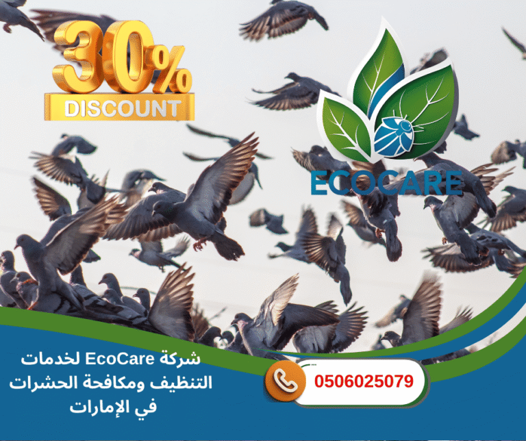 مكافحة الحمام في الإمارات