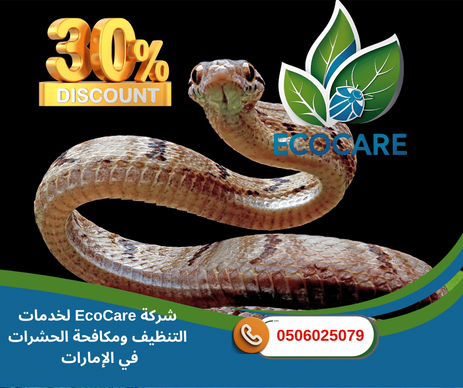 شركة مكافحة الزواحف في عجمان