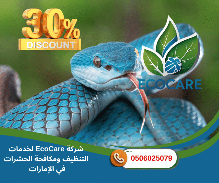 شركة مكافحة الزواحف في الشارقة