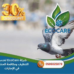 شركة مكافحة الحمام في أم القيوين