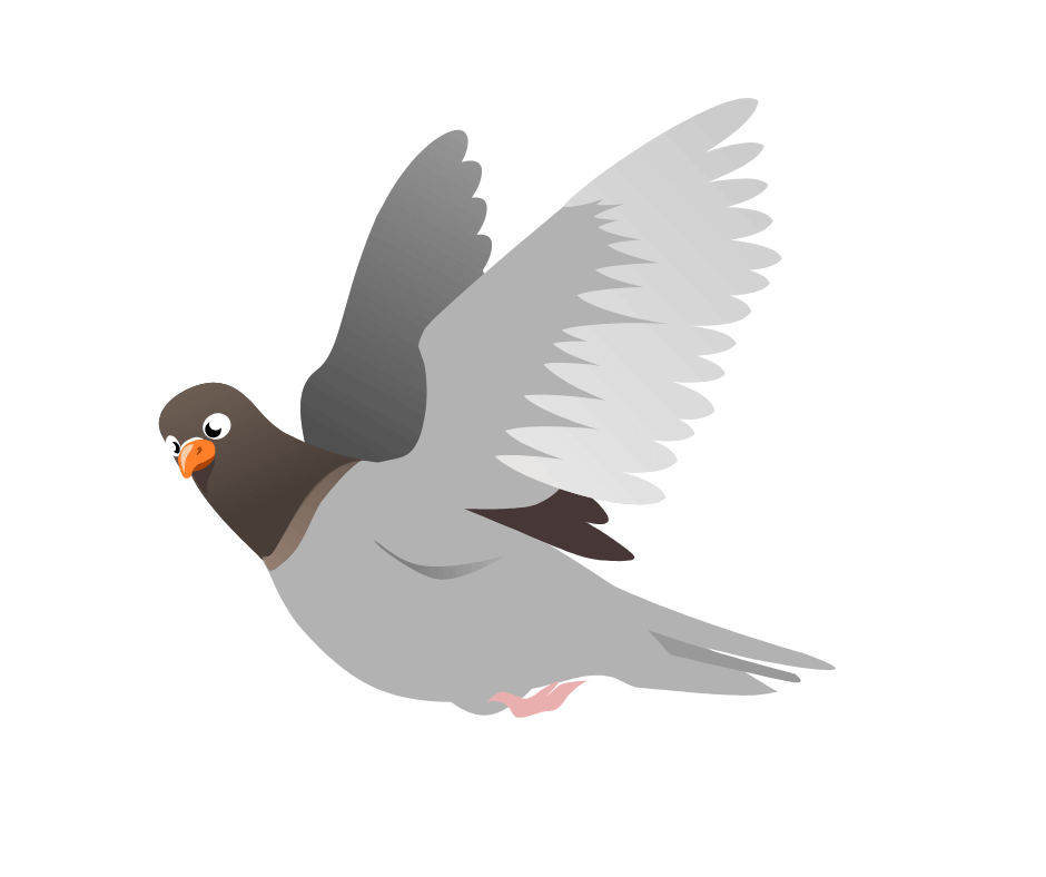 شركة تركيب شبك طارد الحمام في الشارقة