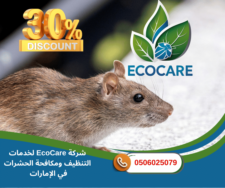 شركة مكافحة حشرات للإيجار في الشارقة