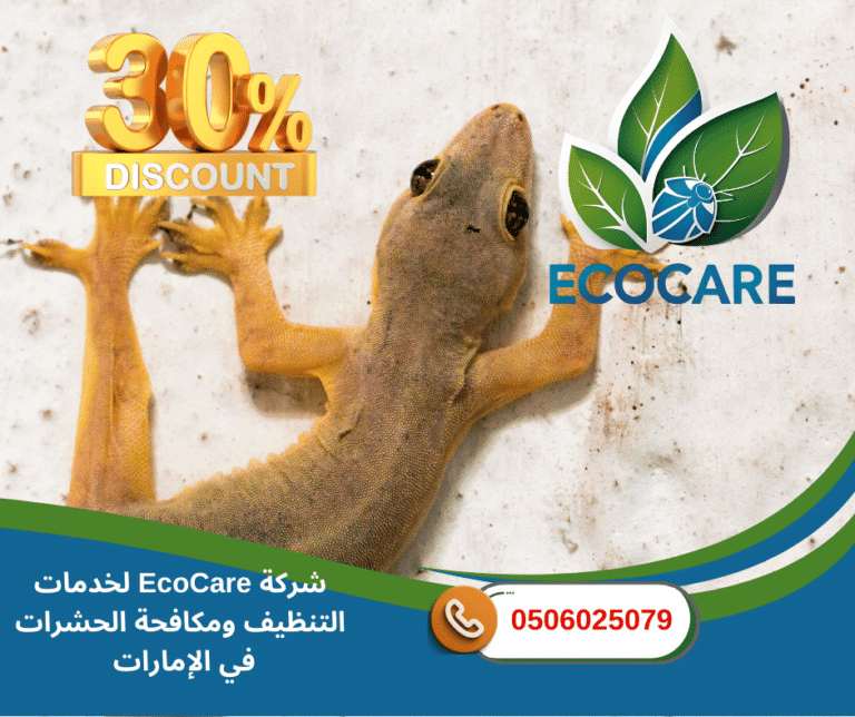 شركة مكافحة السحالي في عجمان