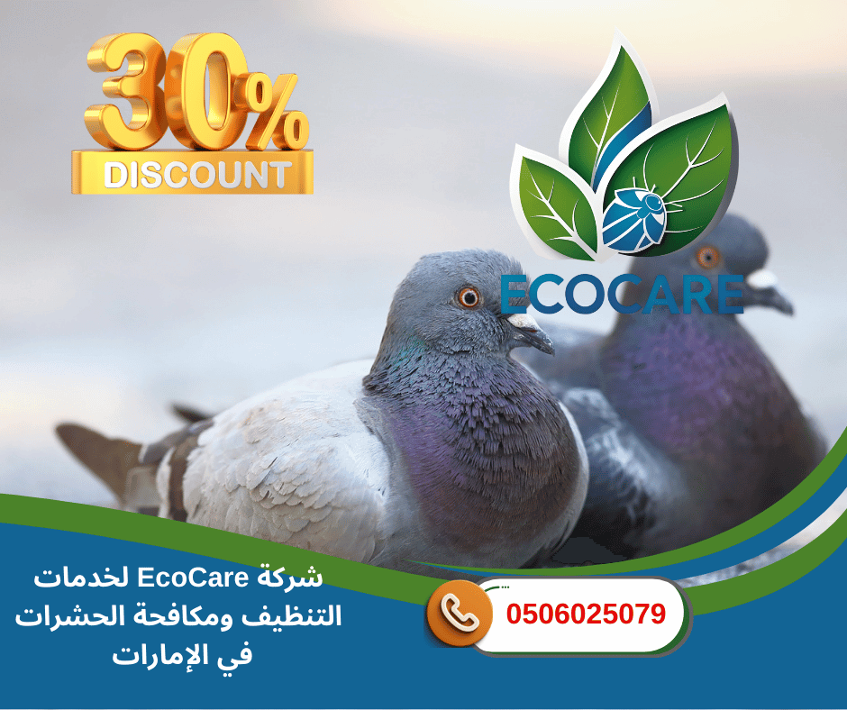 شركة تركيب شبك طارد الحمام في الشارقة