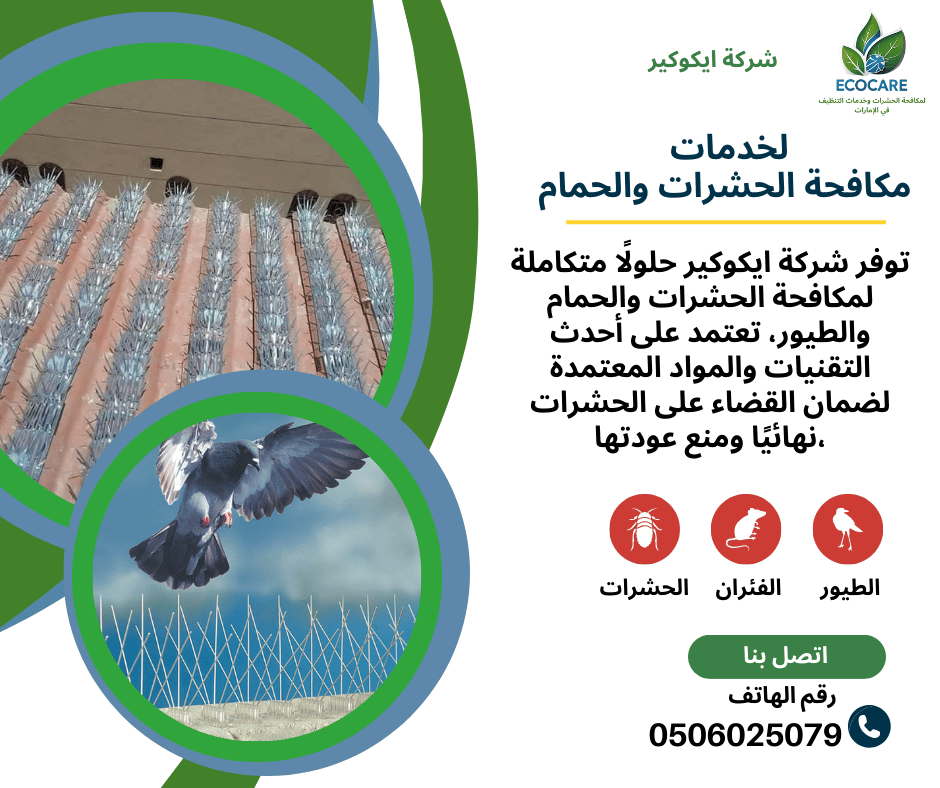 شركة تركيب شبك طارد الحمام في دبي