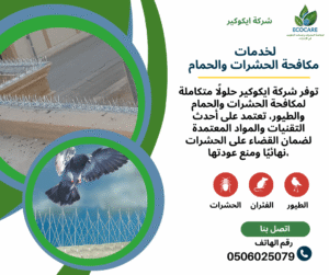 ما هي أفضل الطرق للتخلص من الحمام على أسطح المباني في الإمارات؟