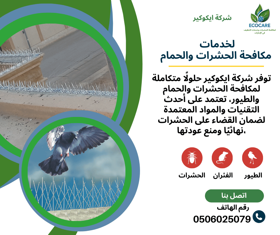 شركة تركيب شبك طارد الحمام في دبي